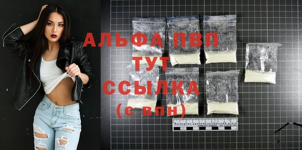 молекула духа Костерёво