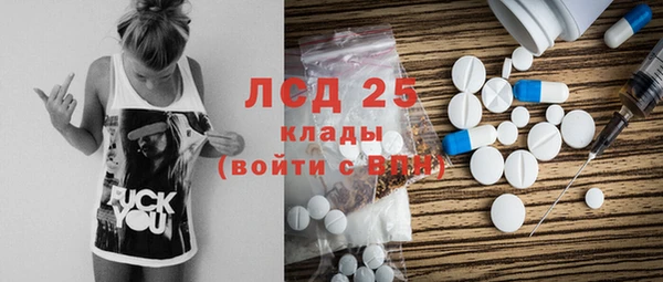 молекула духа Костерёво